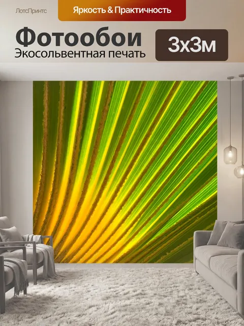 Фотообои Деталь листьев пальмы