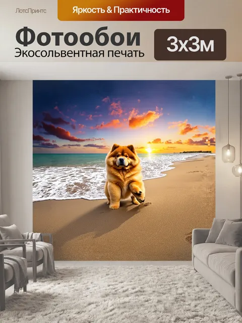 Фотообои чау-чау поднимает лапу в неторопливой позе на ярком пляже