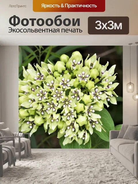 Фотообои Рог антилопы молочая крупным планом