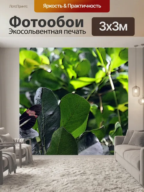 Фотообои Черная бабочка