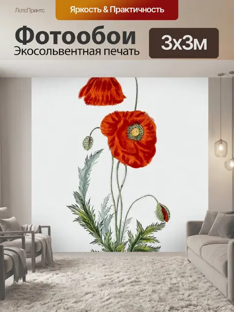 Фотообои Цветок мака винтаж старый