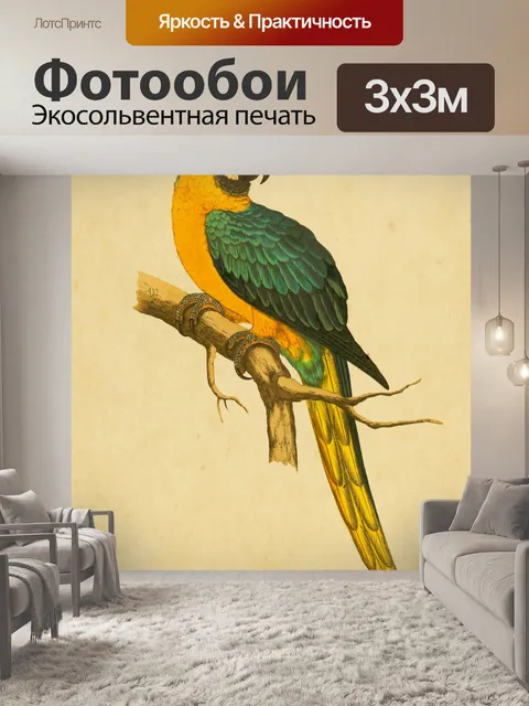 Фотообои Искусство Птицы Винтажный Ара