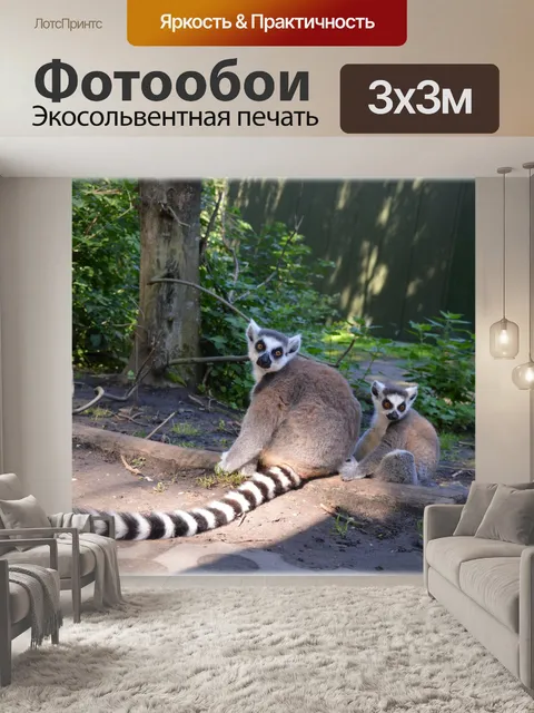 Фотообои Кошачий лемур 19