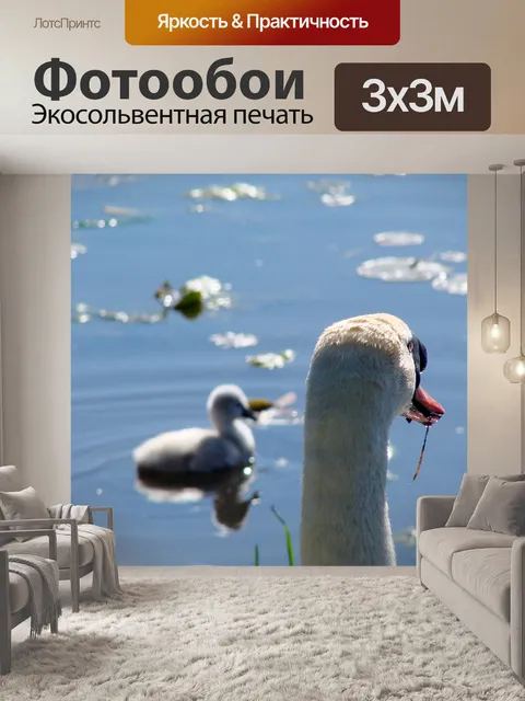 Фотообои Бдительным оком Отца Лебедь