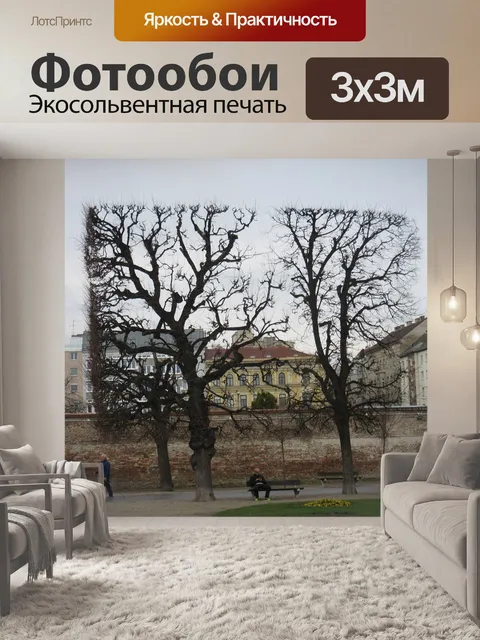 Фотообои Деревья