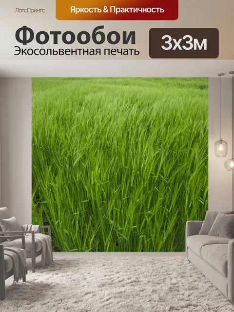 Фотообои Поле зеленого ячменя