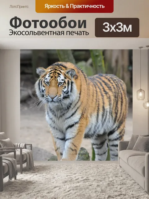 Фотообои Тигр