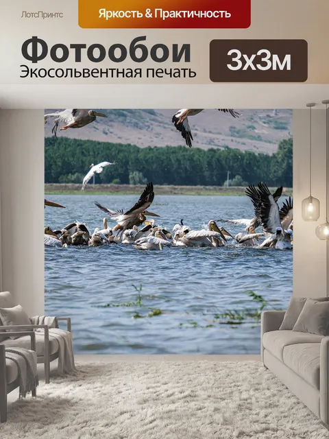 Фотообои Большие белые пеликаны