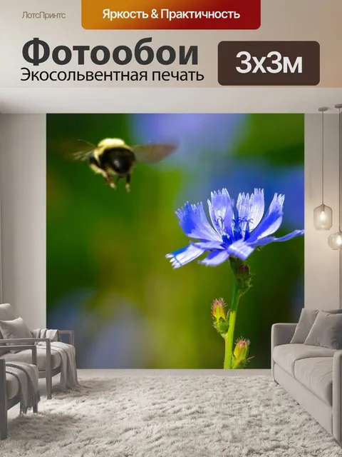 Фотообои Пчелы