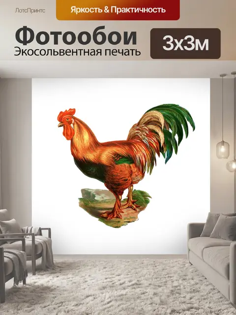 Фотообои Иллюстрация винтажного искусства петуха