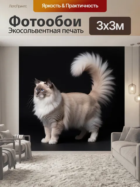 Фотообои Пушистая голубоглазая кошка