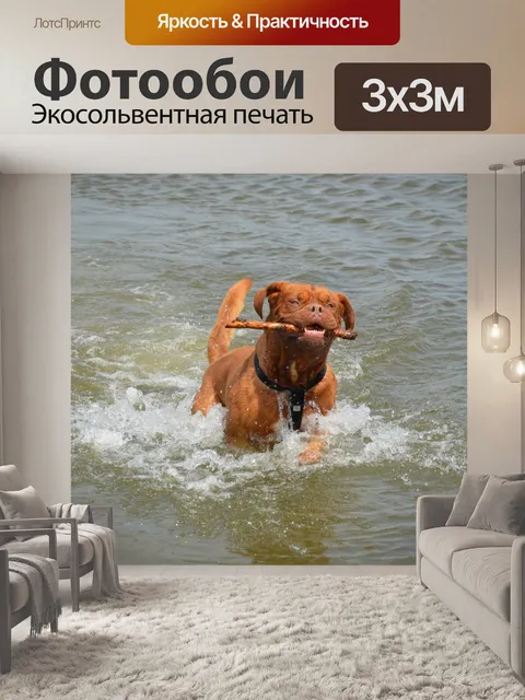 Фотообои Мутной воде 4
