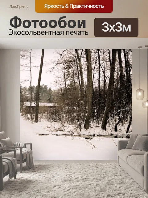Фотообои Зимняя фотография около Люблина