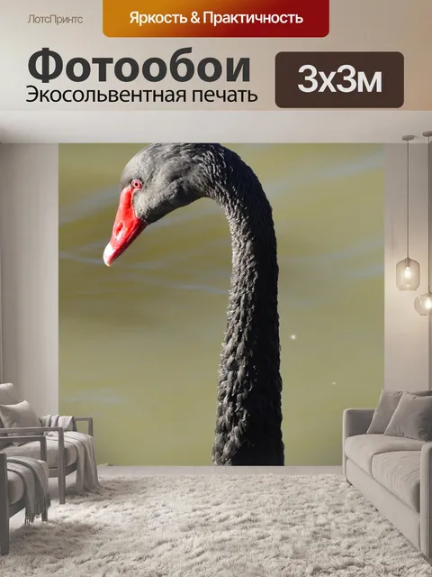 Фотообои Черный гусь
