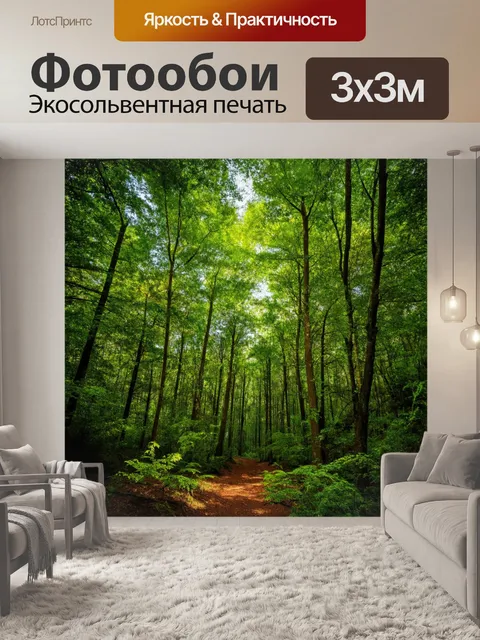 Фотообои лес, в котором мелодия ветра слышна между крон деревьев