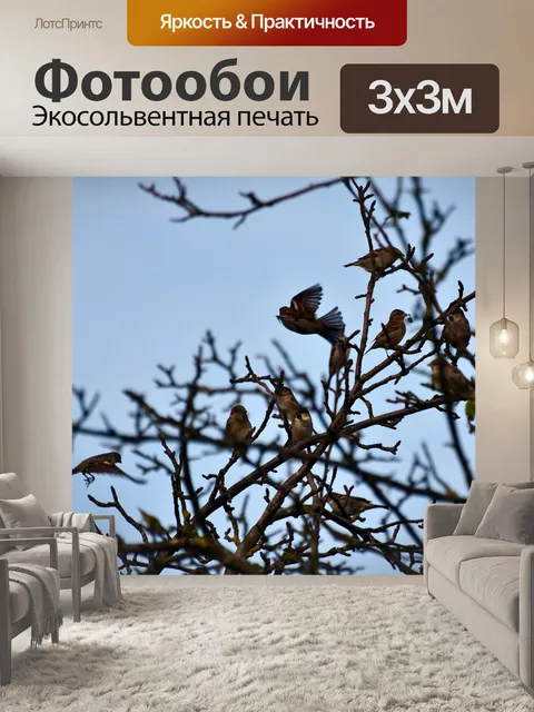 Фотообои Краны