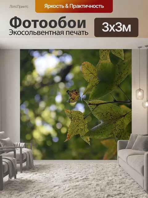 Фотообои Осень