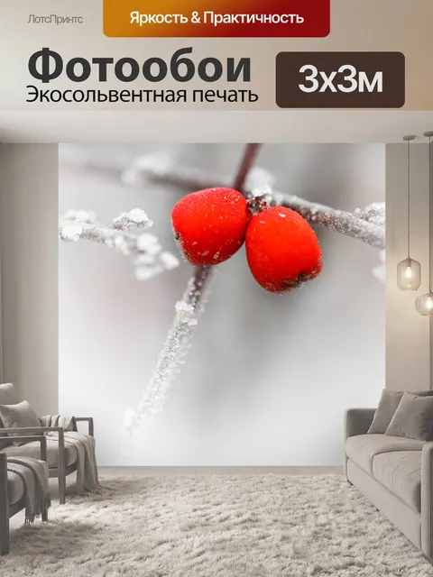Фотообои морозная красными ягодами
