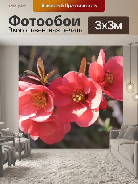 Фотообои Цветок