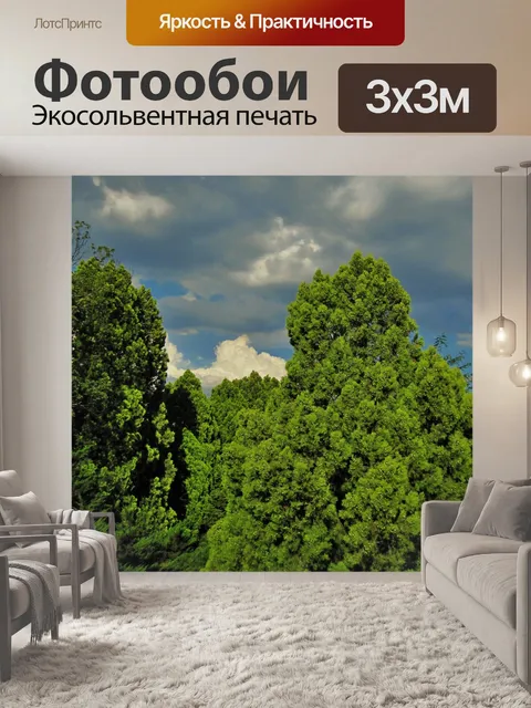 Фотообои хвойные на солнце