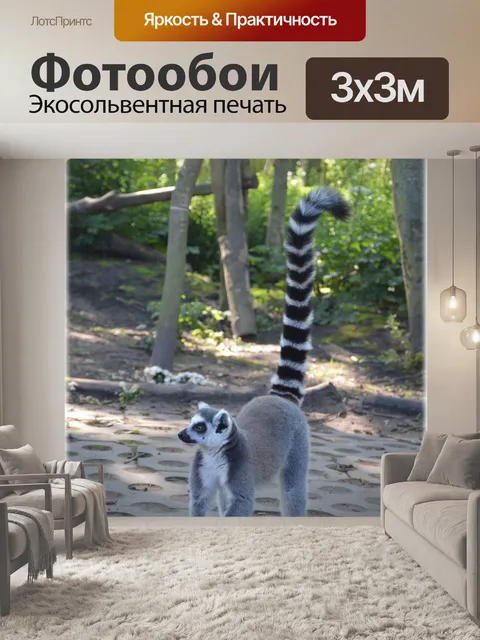 Фотообои Кошачий лемур 20