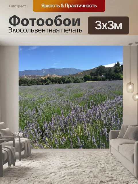 Фотообои Лавандовые поля