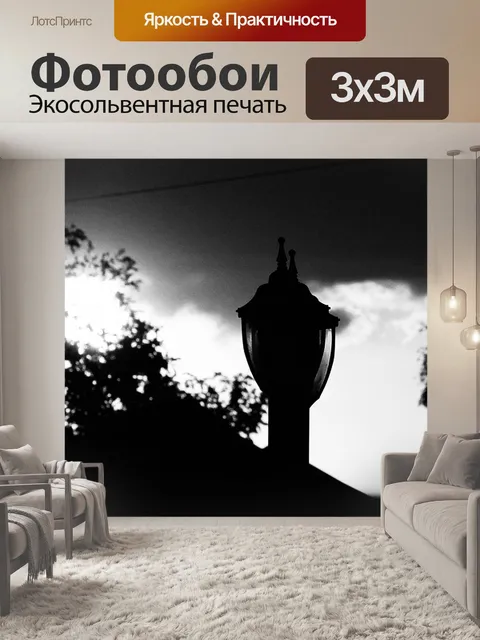 Фотообои черно-белое изображение садовой лампы