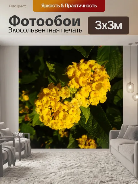 Фотообои Желтые цветы
