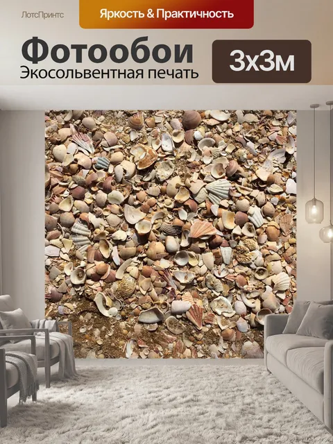 Фотообои Моллюски