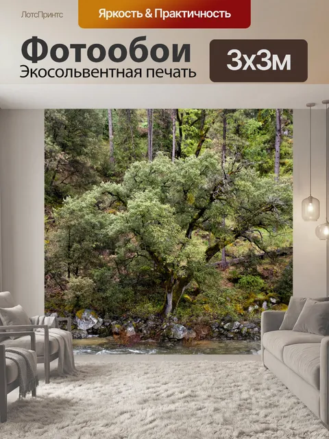 Фотообои Дерево на Риверсайде