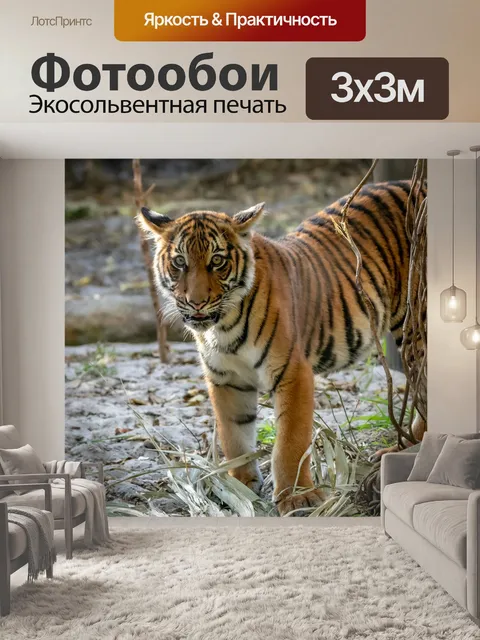 Фотообои Малайский тигренок