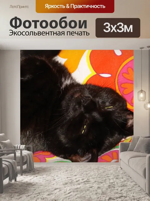 Фотообои Таинственный взгляд