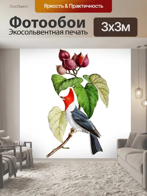 Фотообои Винтажное искусство птица кардинал