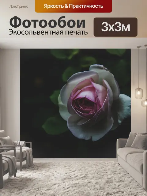 Фотообои Розовый