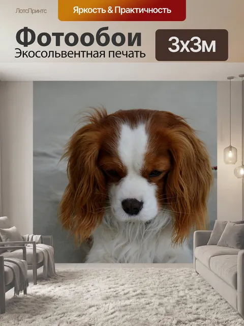 Фотообои Собака