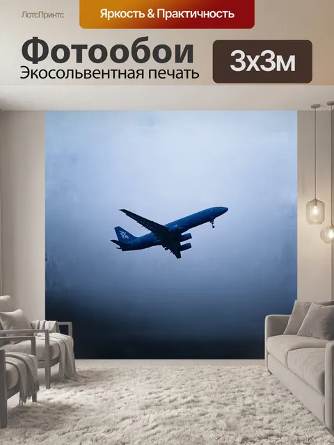 Фотообои самолет, задумчиво парящий в утреннем тумане, его силуэт слегка размытый, что придаёт сцене загадочный эффект