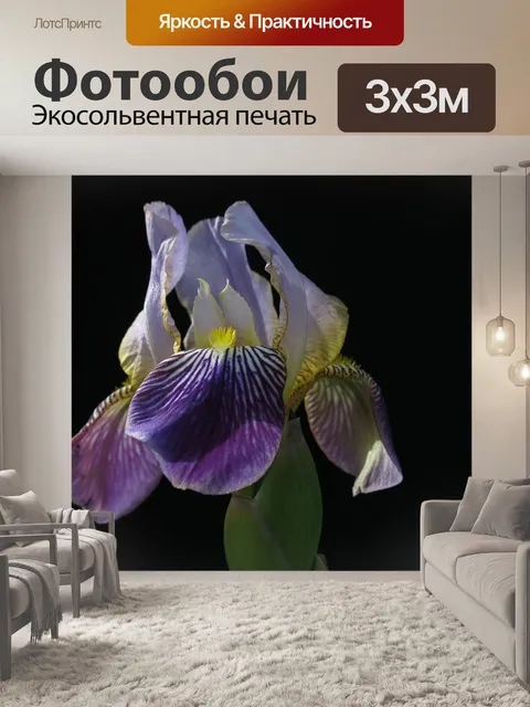 Фотообои Ирис