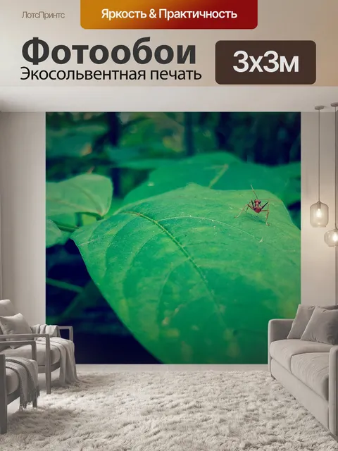 Фотообои Ткач муравей