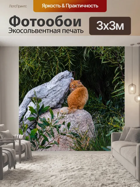 Фотообои Чаща