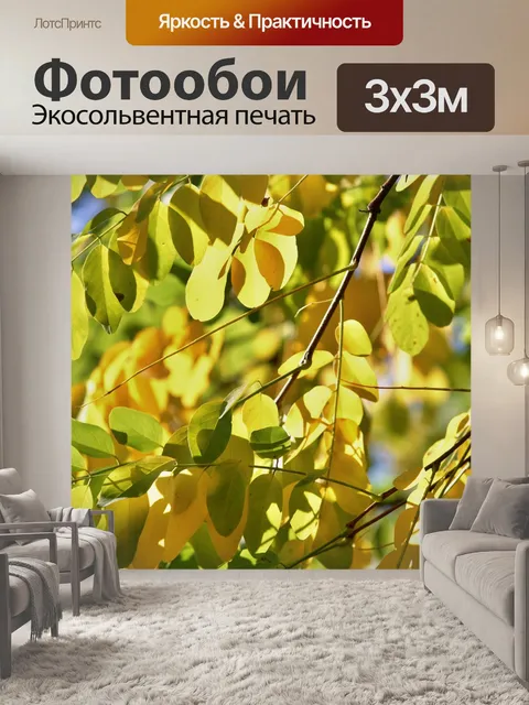 Фотообои Осенние листья