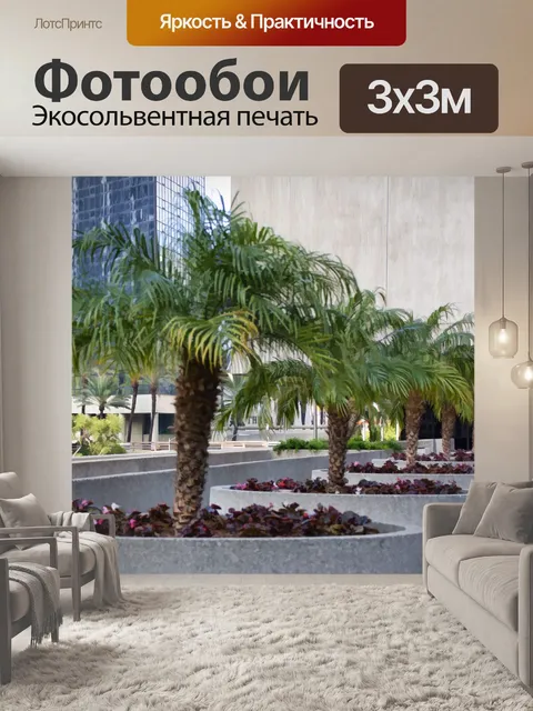 Фотообои Городские пальмы