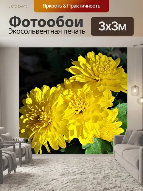 Фотообои Желтые хризантемы на черном