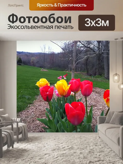 Фотообои Цветы