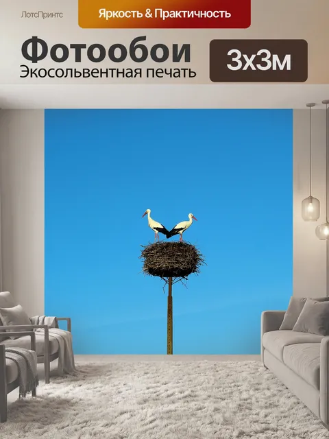 Фотообои Аисты