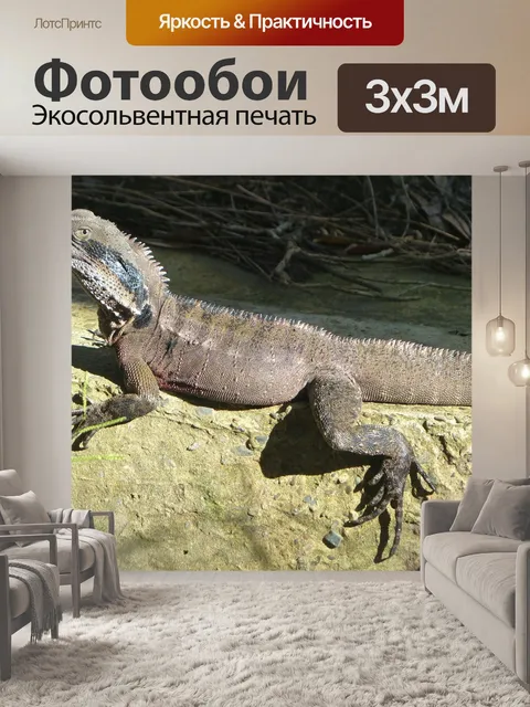 Фотообои Восточная ящерица водяного дракона