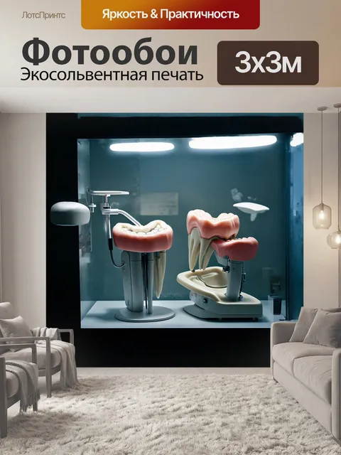 Фотообои зубные протезы, выставленные на витрину стоматологической клиники, когда свет приглушен и играет на…