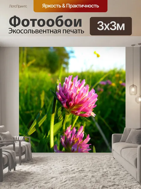 Фотообои Красный клевер