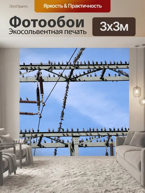 Фотообои Звезда