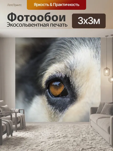 Фотообои Глаза