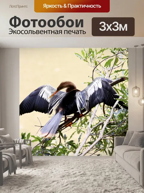 Фотообои Гагара